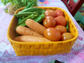 Lunch Koodai  Gift item