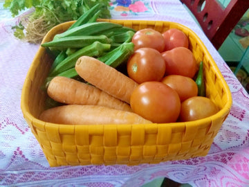 Lunch Koodai  Gift item